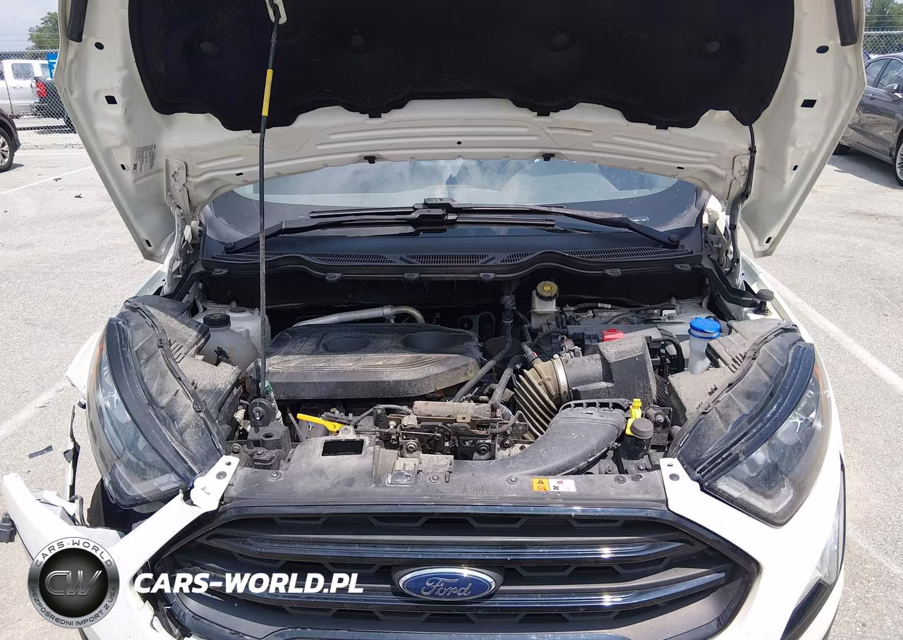2021 Ford Ecosport Ses VIN:MAJ6S3JL5MC452454 - 10