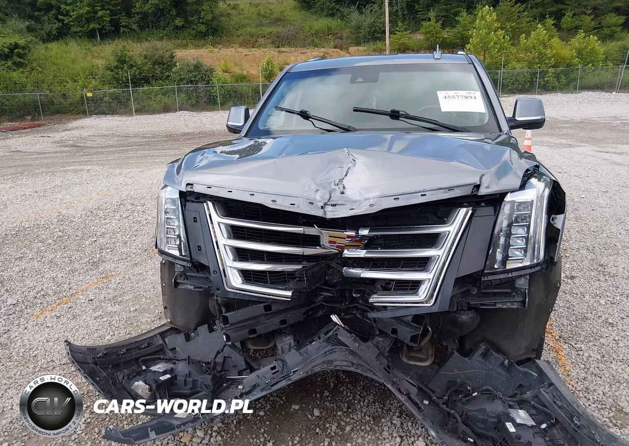 2020 Cadillac Escalade 4Wd Luxury VIN:1GYS4BKJ3LR254908 - 12