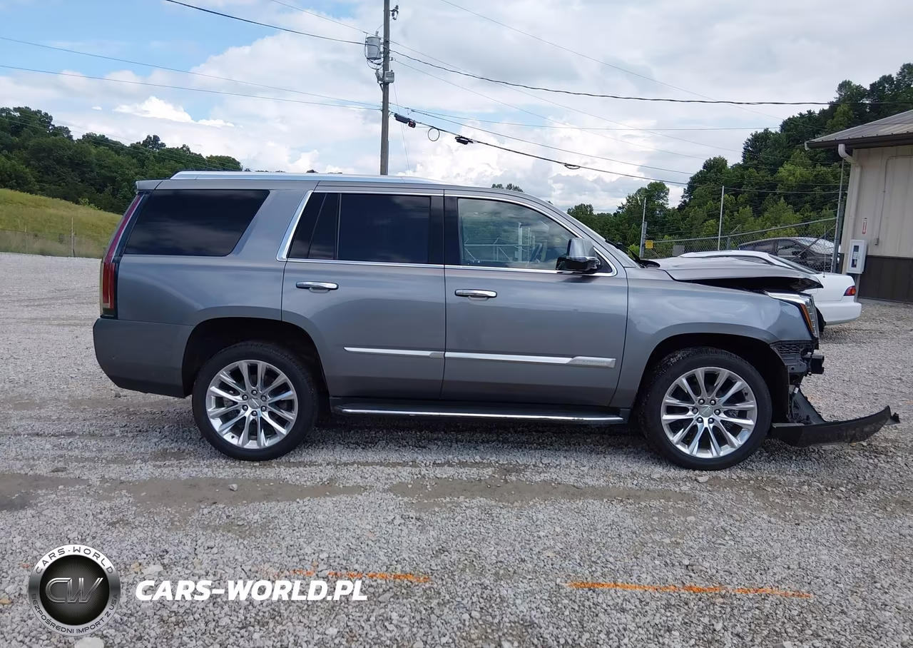 2020 Cadillac Escalade 4Wd Luxury VIN:1GYS4BKJ3LR254908 - 13