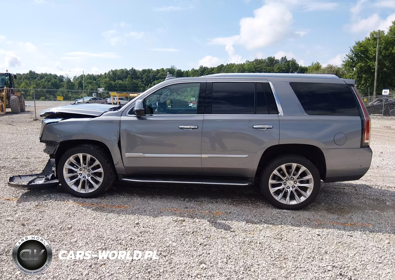 2020 Cadillac Escalade 4Wd Luxury VIN:1GYS4BKJ3LR254908 - 14