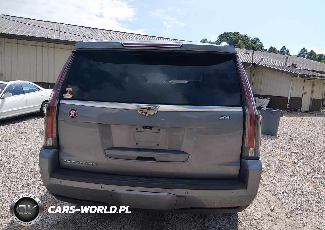 2020 Cadillac Escalade 4Wd Luxury VIN:1GYS4BKJ3LR254908 - 16