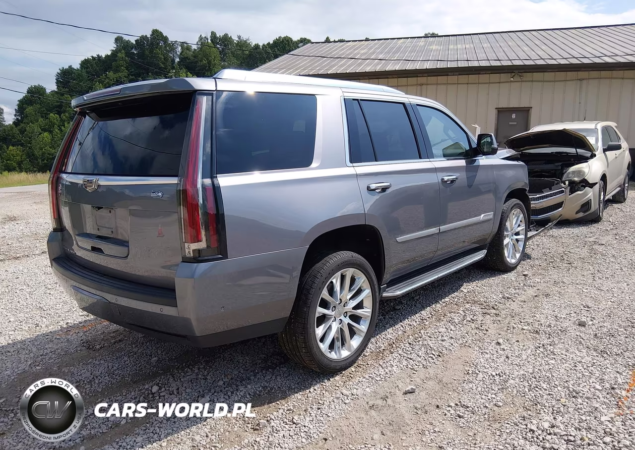 2020 Cadillac Escalade 4Wd Luxury VIN:1GYS4BKJ3LR254908 - 4