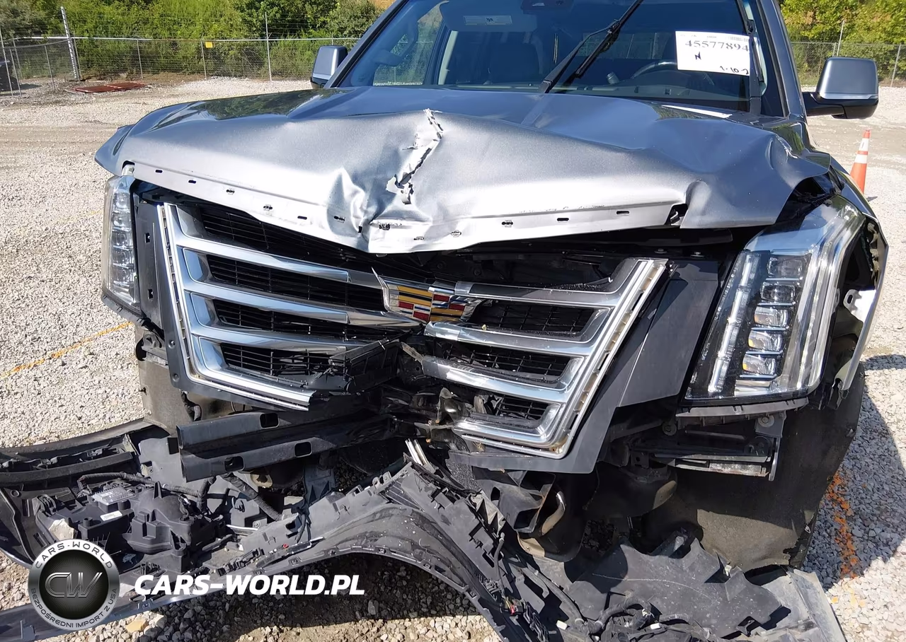 2020 Cadillac Escalade 4Wd Luxury VIN:1GYS4BKJ3LR254908 - 6