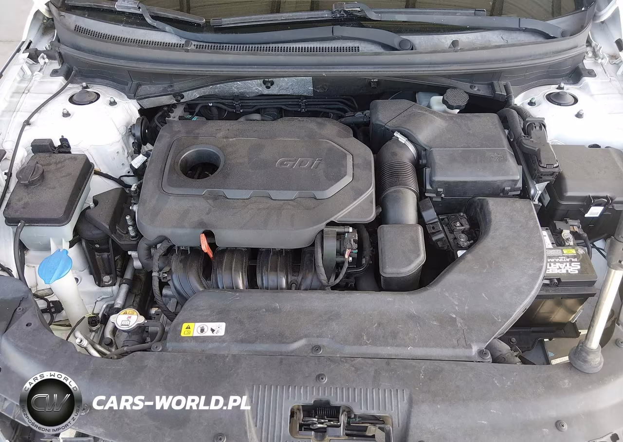 2015 Hyundai Sonata Se VIN:5NPE24AF2FH017596 - 10