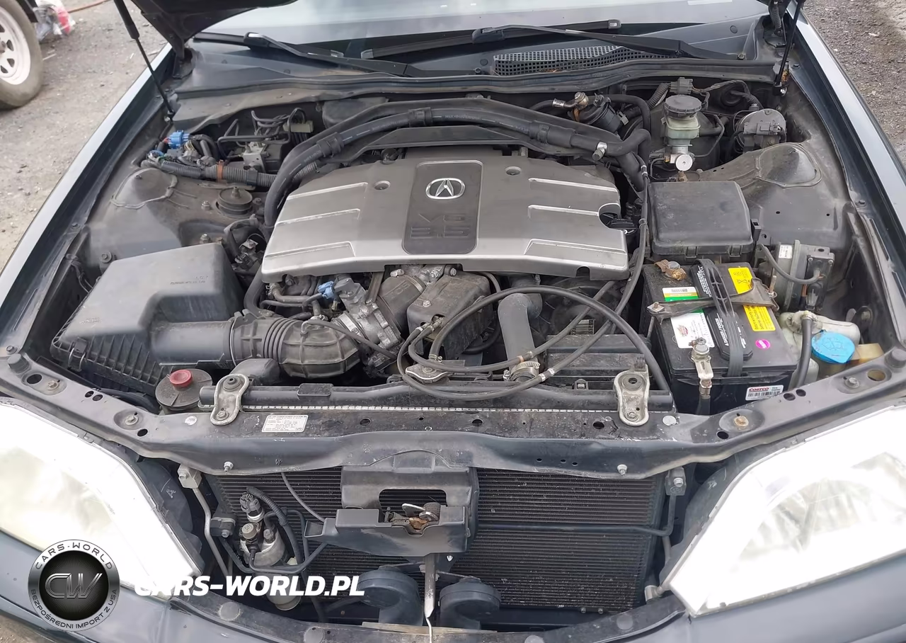 2002 Acura Rl 3.5 VIN:JH4KA96652C016457 - 10