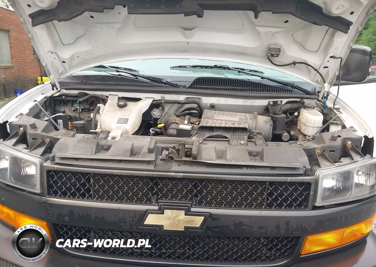 2019 Chevrolet Express 2500 Ls VIN:1GAWGEFG4K1334562 - 10