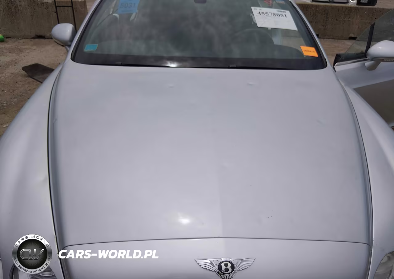 2006 Bentley Continental Gt VIN:SCBCR63WX6C038108 - 10