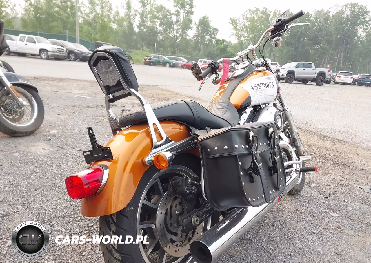 2014 Harley-Davidson Fxdl Dyna Low Rider VIN:1HD1GNM2XEC332007 - 4
