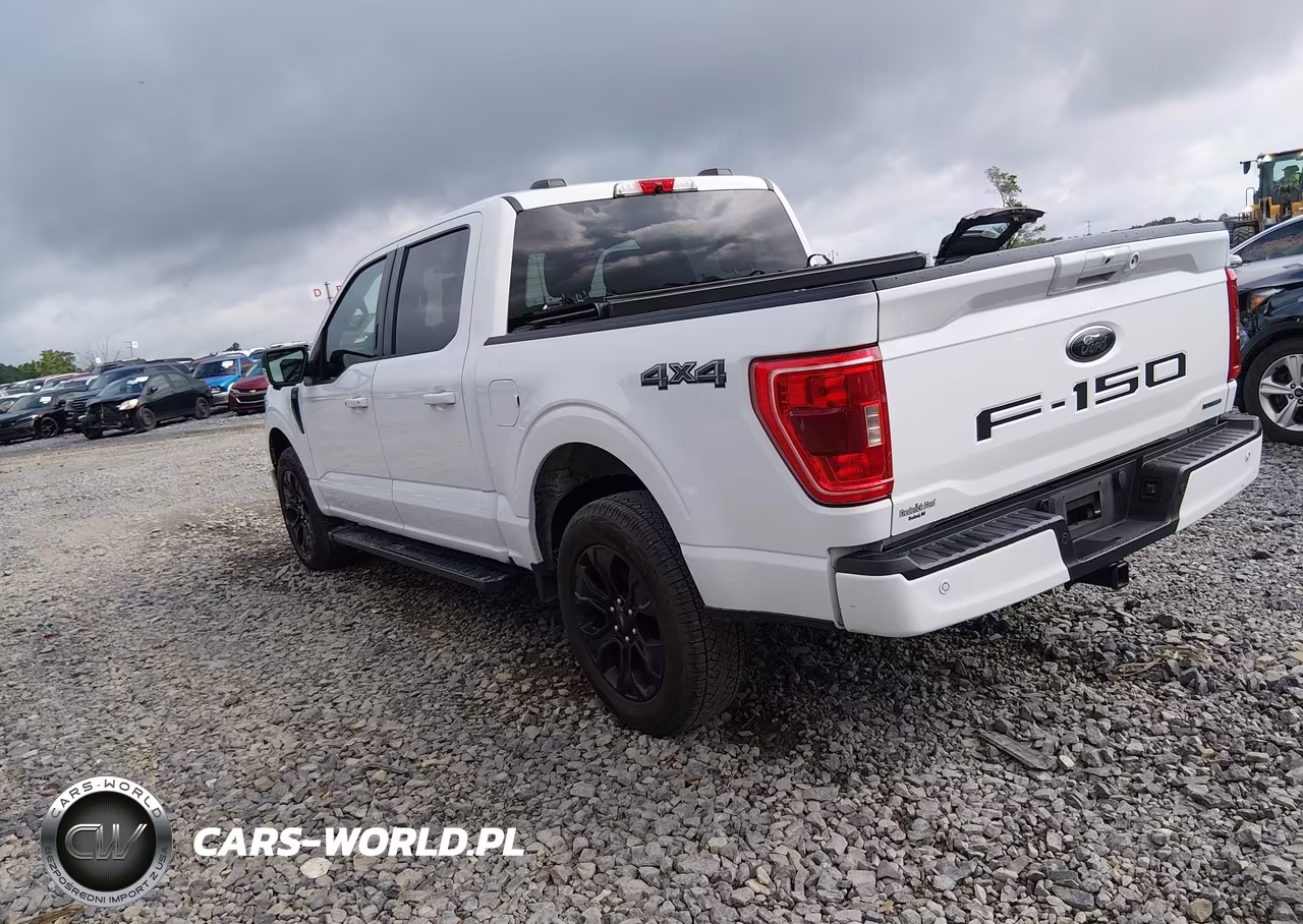 2022 Ford F-150 Xlt VIN:1FTEW1EP5NFB37116 - 3