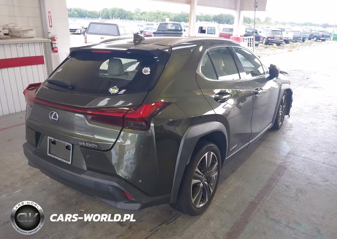 2020 Lexus Ux 250H VIN:JTHP9JBHXL2027551 - 4