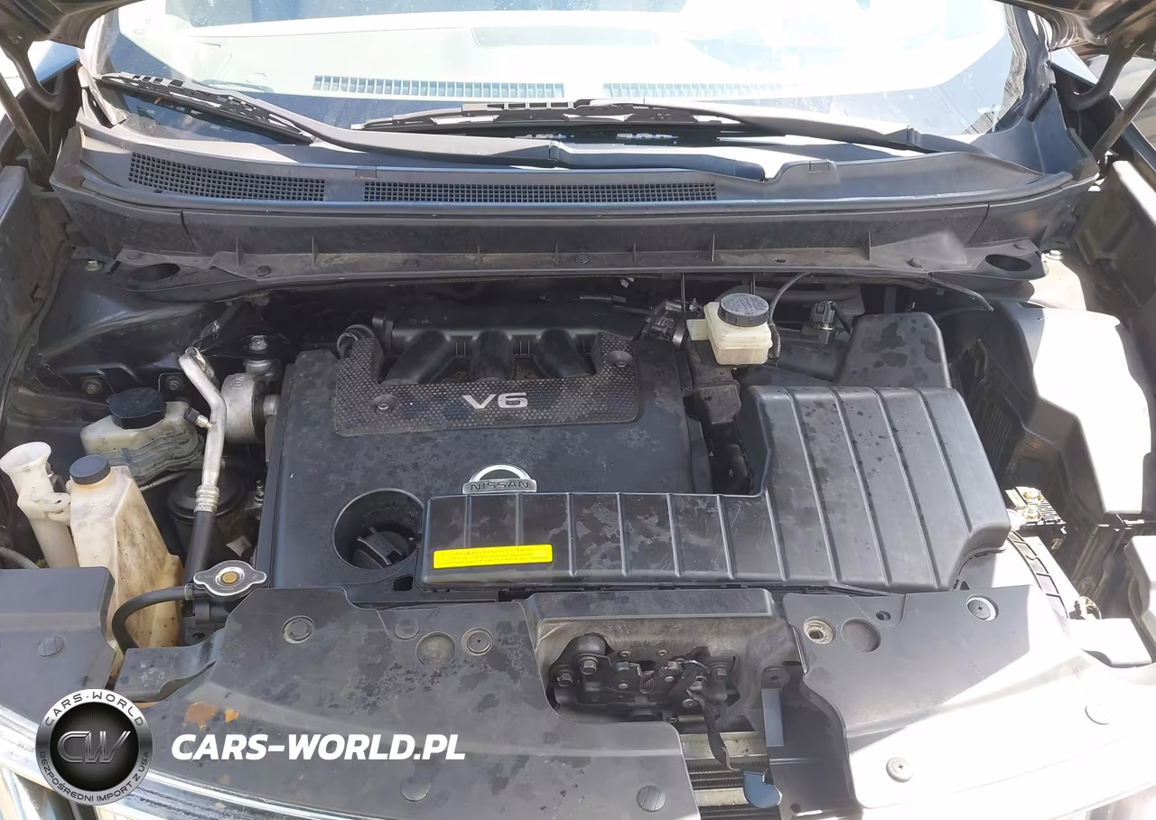 2010 Nissan Murano Sl VIN:JN8AZ1MU9AW006895 - 10