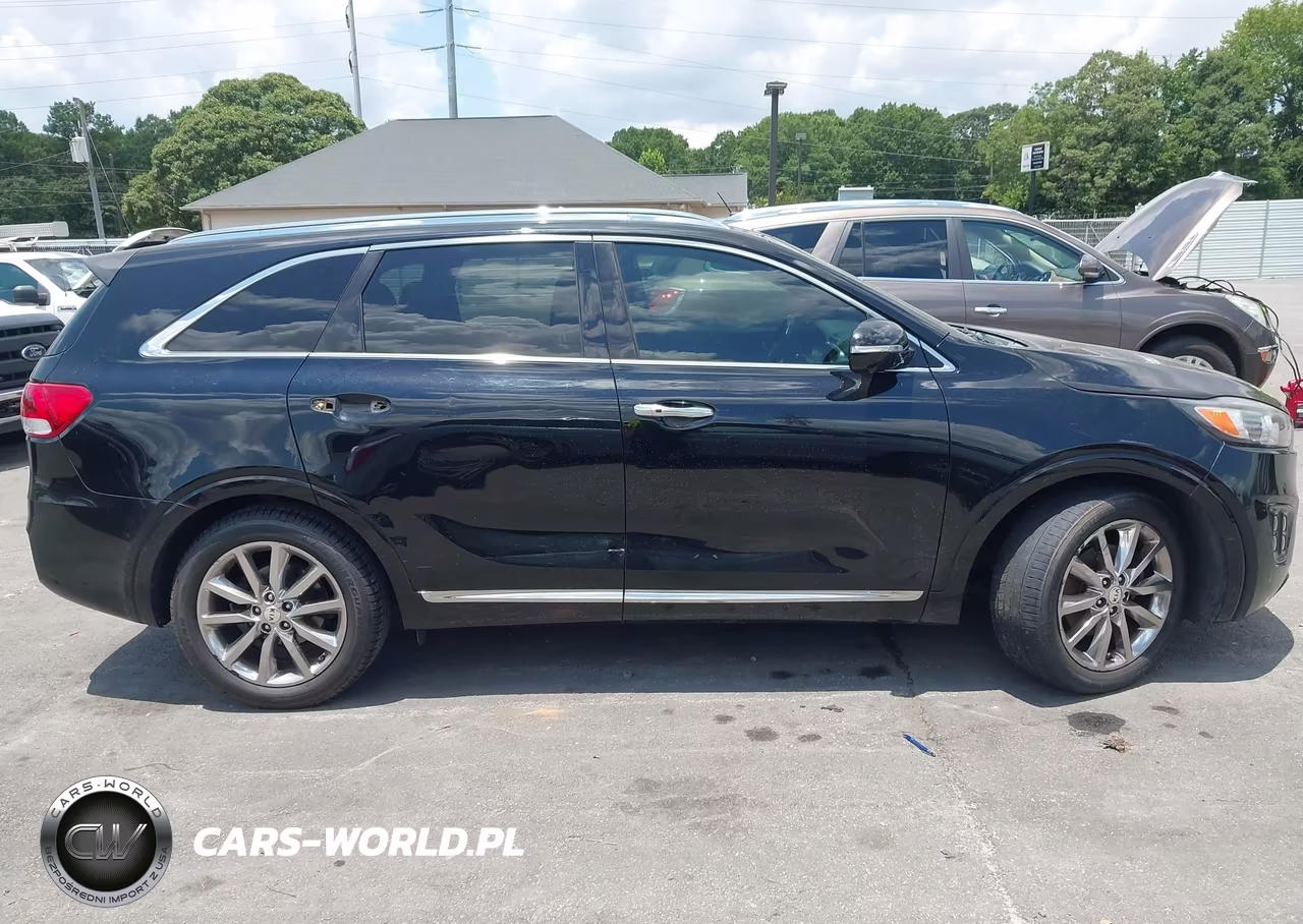 2016 Kia Sorento 3.3L Sxl VIN:5XYPK4A56GG005508 - 13