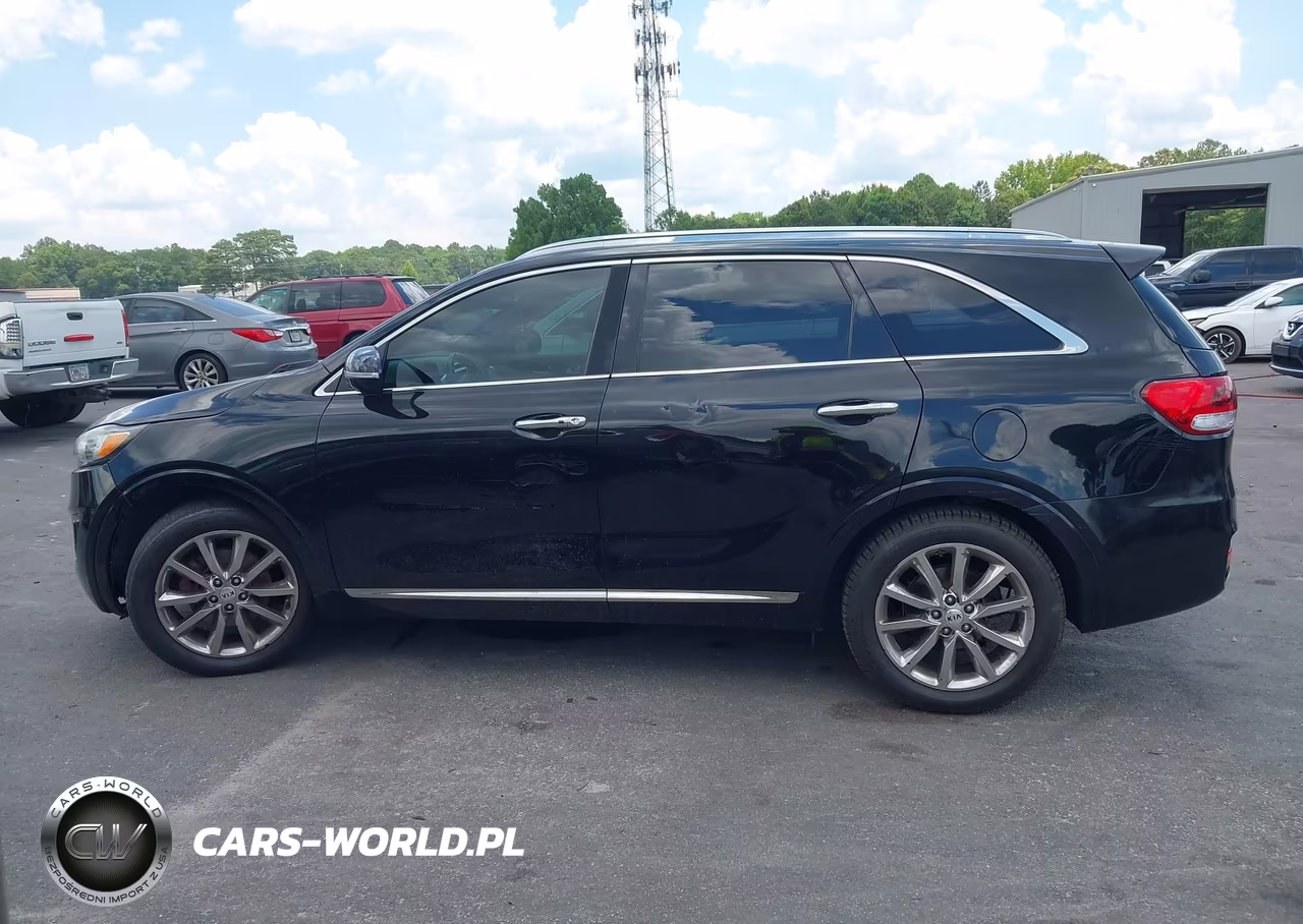 2016 Kia Sorento 3.3L Sxl VIN:5XYPK4A56GG005508 - 14