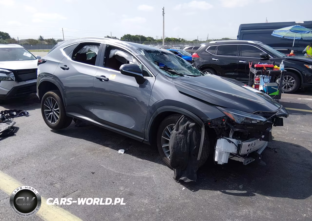 2025 Lexus Nx 250 VIN:2T2ADCAZ9SC020498 - 1