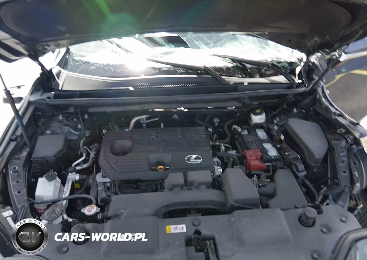 2025 Lexus Nx 250 VIN:2T2ADCAZ9SC020498 - 10