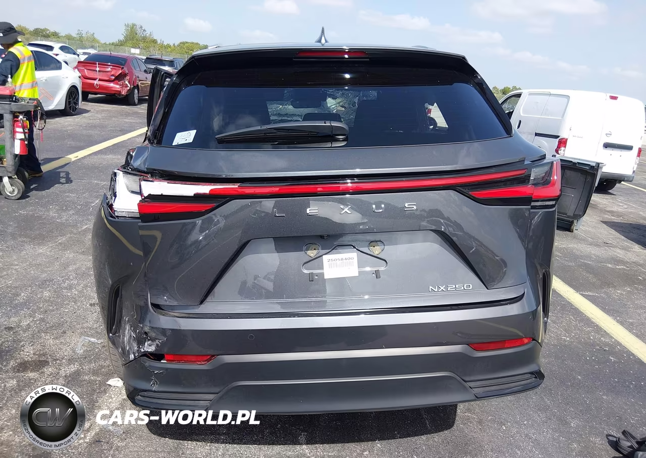 2025 Lexus Nx 250 VIN:2T2ADCAZ9SC020498 - 17