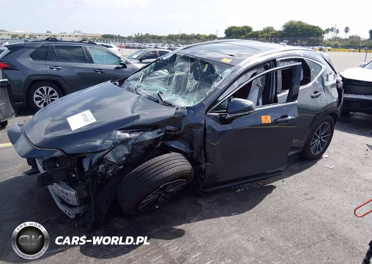 2025 Lexus Nx 250 VIN:2T2ADCAZ9SC020498 - 2