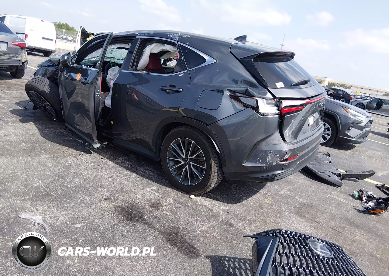 2025 Lexus Nx 250 VIN:2T2ADCAZ9SC020498 - 3