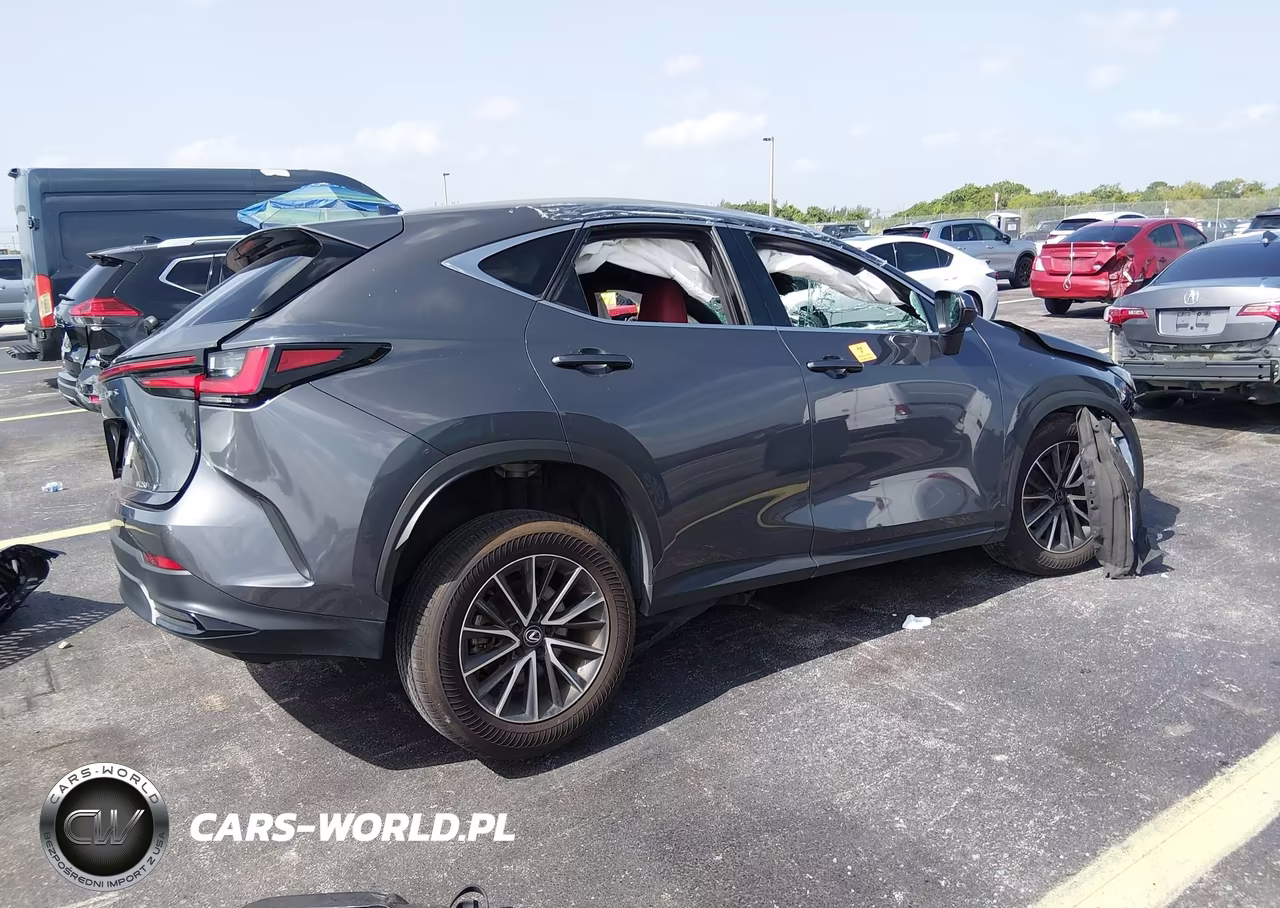 2025 Lexus Nx 250 VIN:2T2ADCAZ9SC020498 - 4
