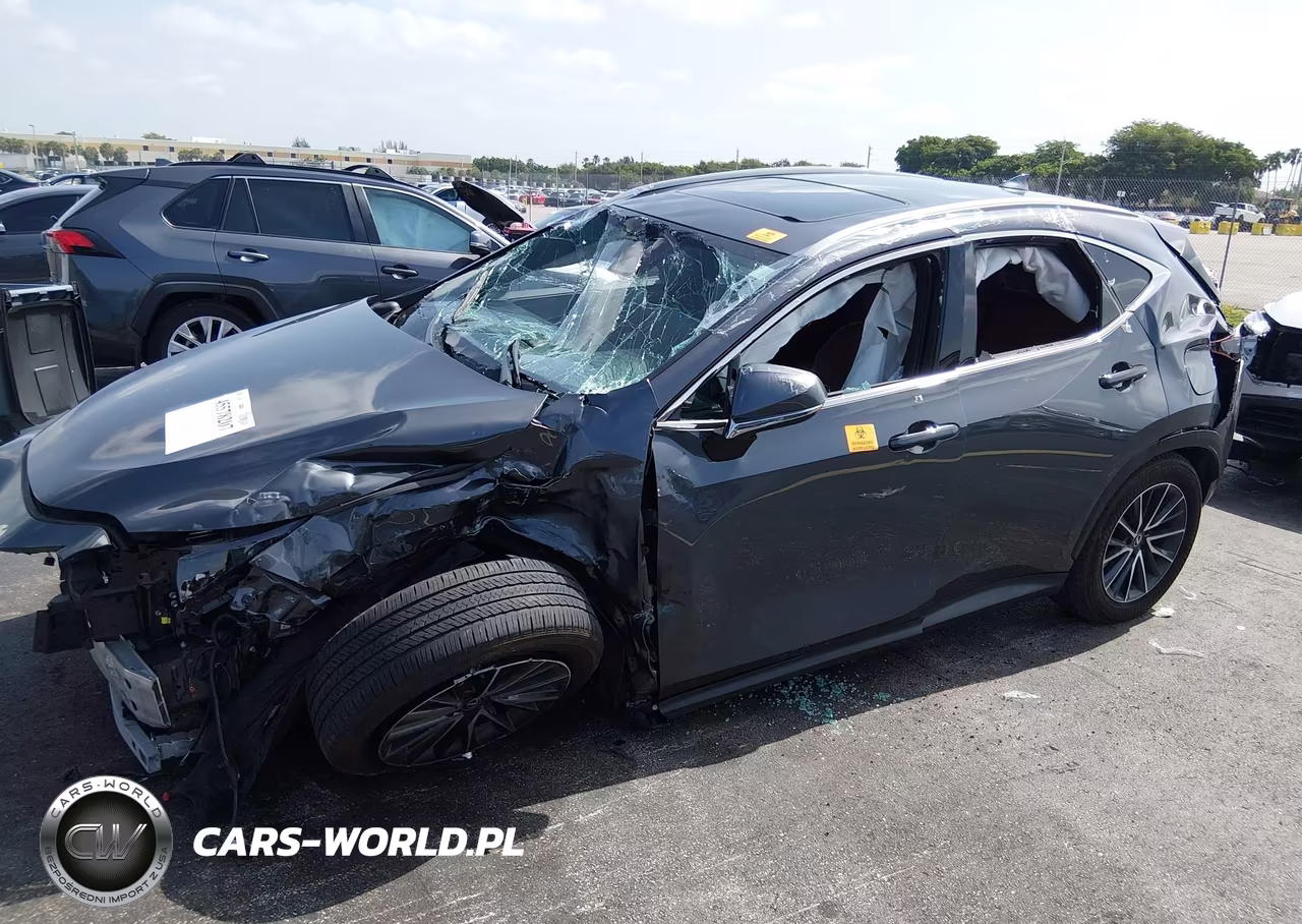 2025 Lexus Nx 250 VIN:2T2ADCAZ9SC020498 - 6