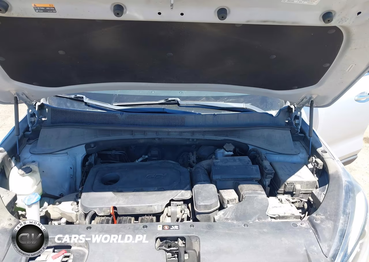 2016 Kia Sorento 2.4L L VIN:5XYPG4A31GG002404 - 10