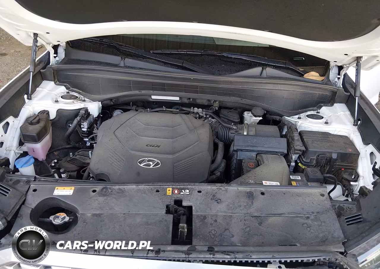 2021 Hyundai Palisade Sel VIN:KM8R44HE9MU333679 - 10