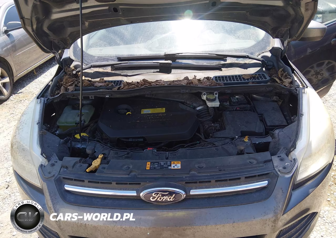 2013 Ford Escape Se VIN:1FMCU0GX4DUB24903 - 10