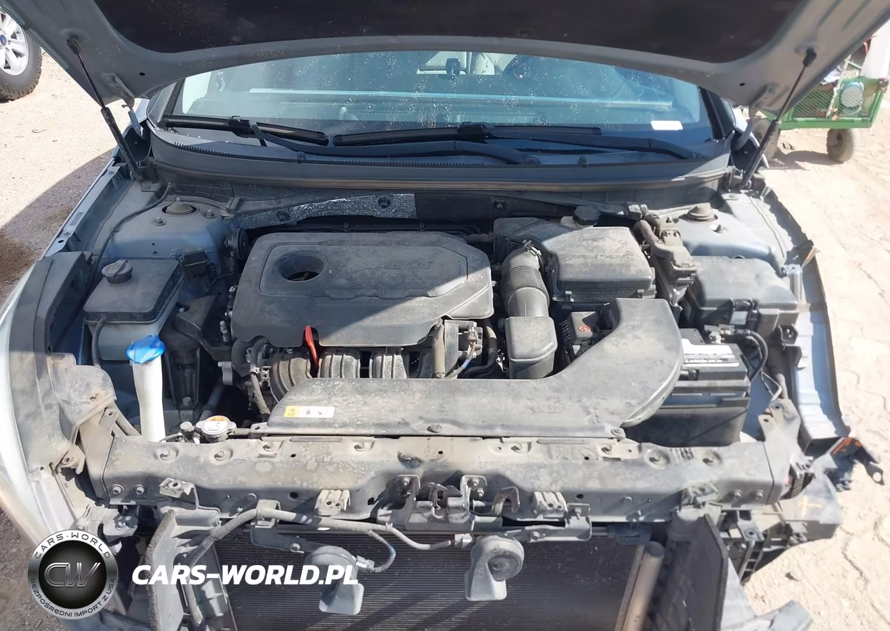 2017 Hyundai Sonata VIN:5NPE24AF5HH438781 - 10