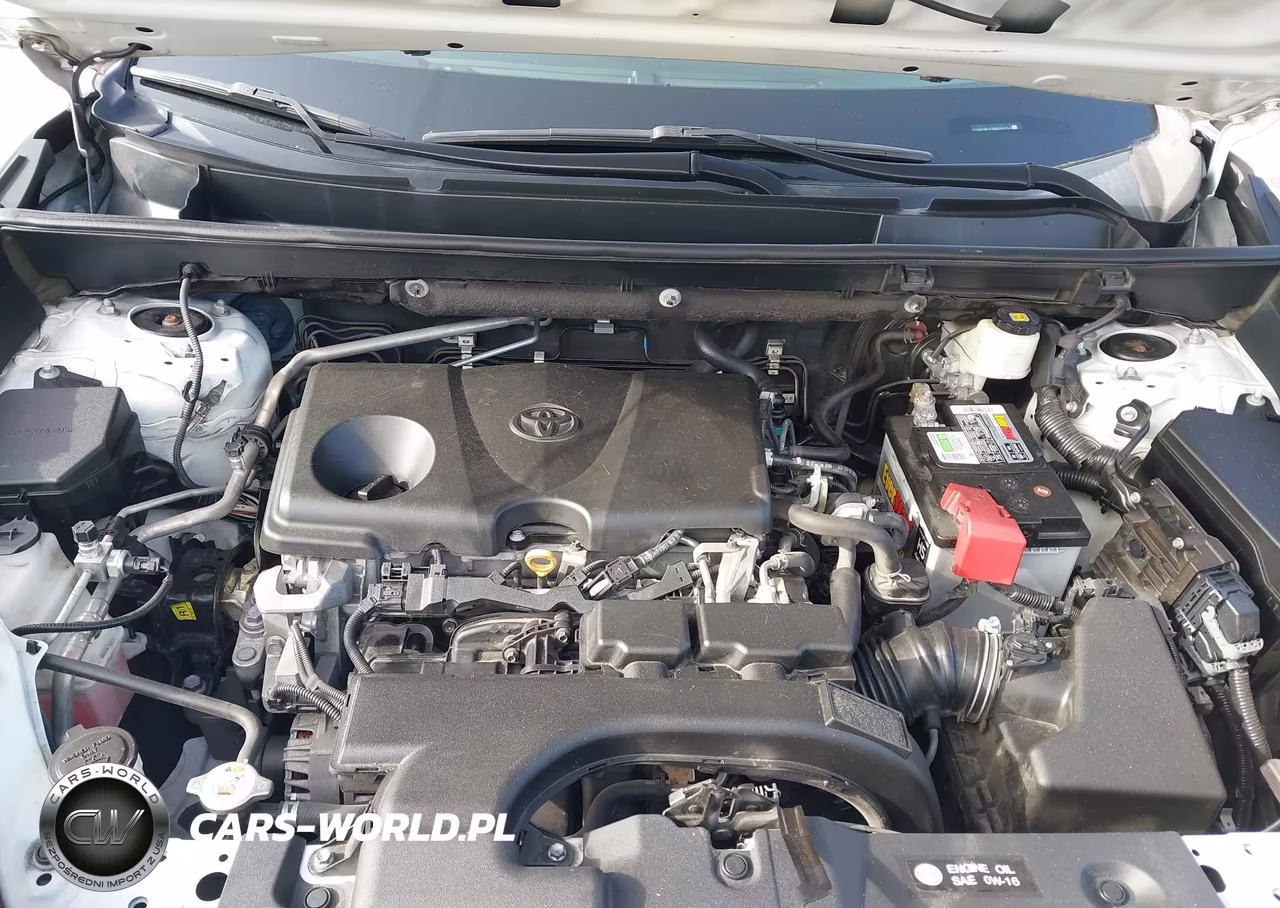 2019 Toyota Rav4 Le VIN:2T3H1RFV2KW040151 - 10