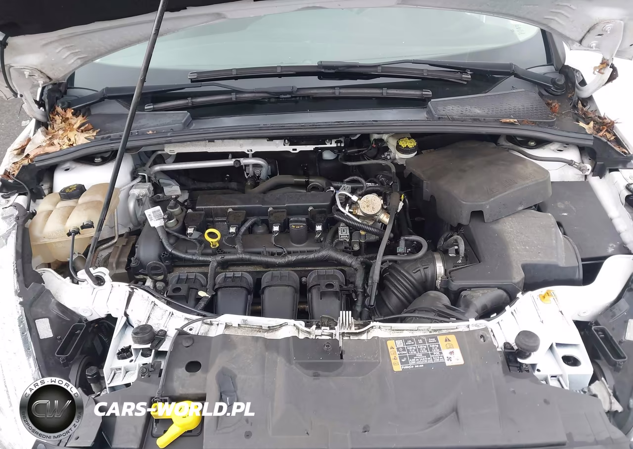 2016 Ford Focus Se VIN:1FADP3F24GL381406 - 10