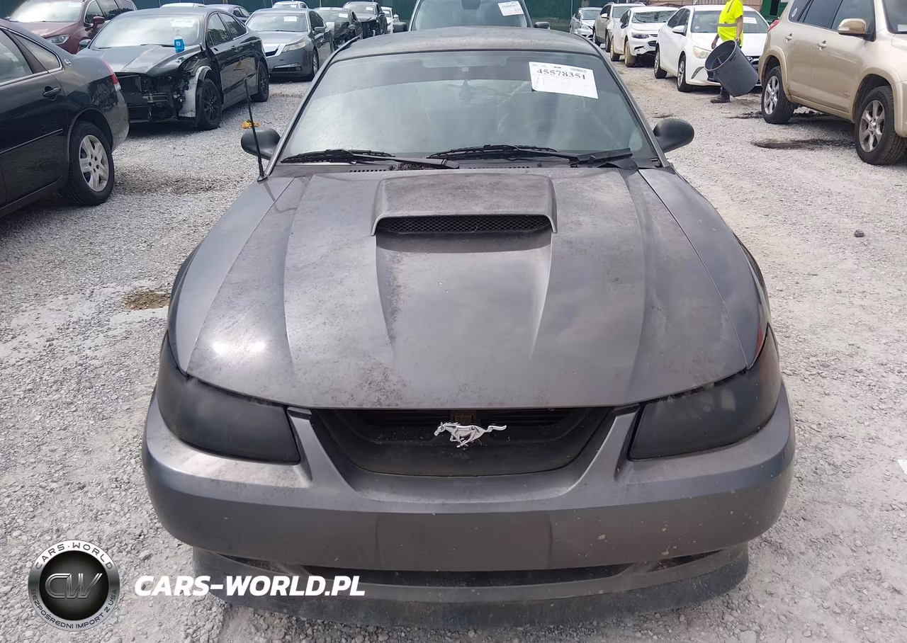 2003 Ford Mustang Gt VIN:1FAFP42X53F341585 - 12