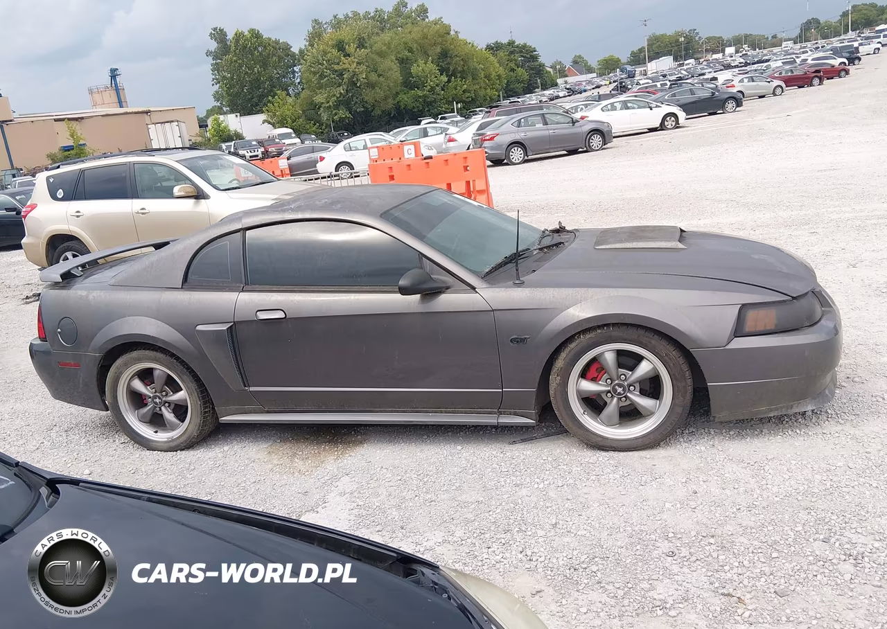 2003 Ford Mustang Gt VIN:1FAFP42X53F341585 - 13
