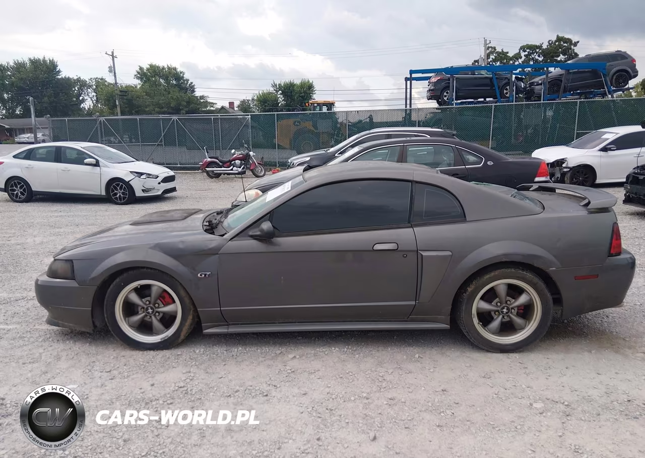 2003 Ford Mustang Gt VIN:1FAFP42X53F341585 - 14