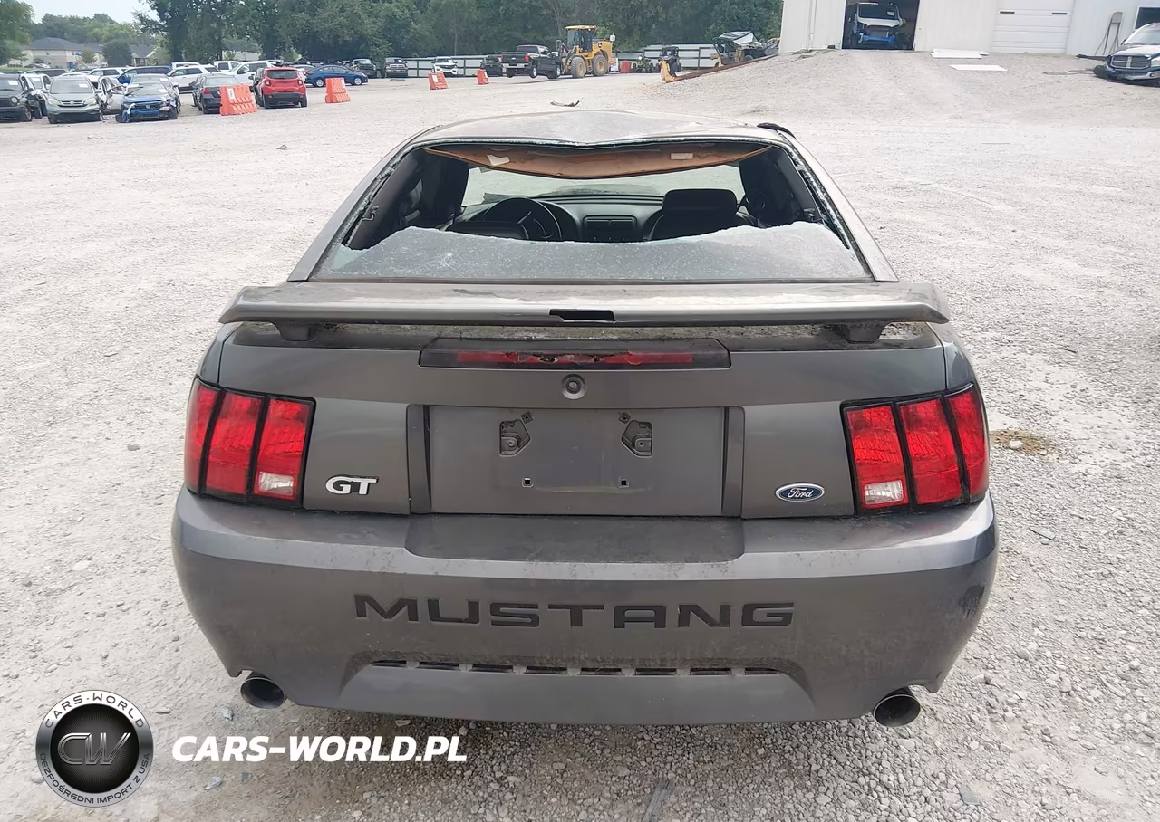 2003 Ford Mustang Gt VIN:1FAFP42X53F341585 - 16