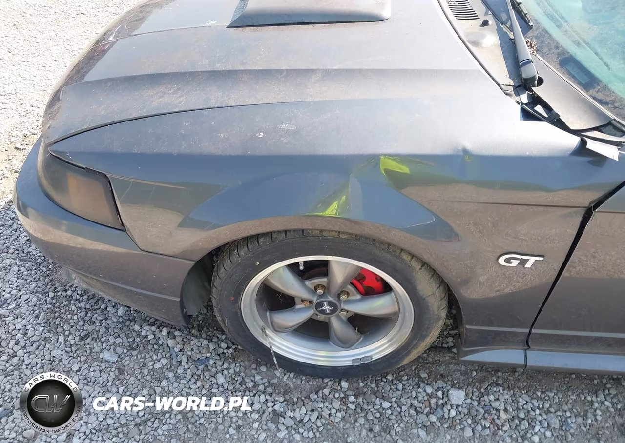 2003 Ford Mustang Gt VIN:1FAFP42X53F341585 - 17