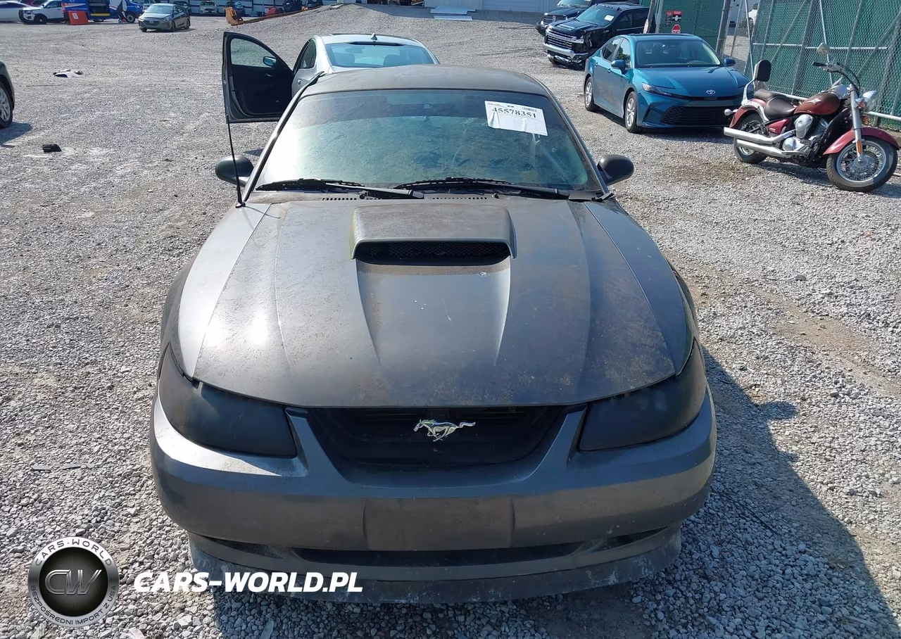 2003 Ford Mustang Gt VIN:1FAFP42X53F341585 - 19
