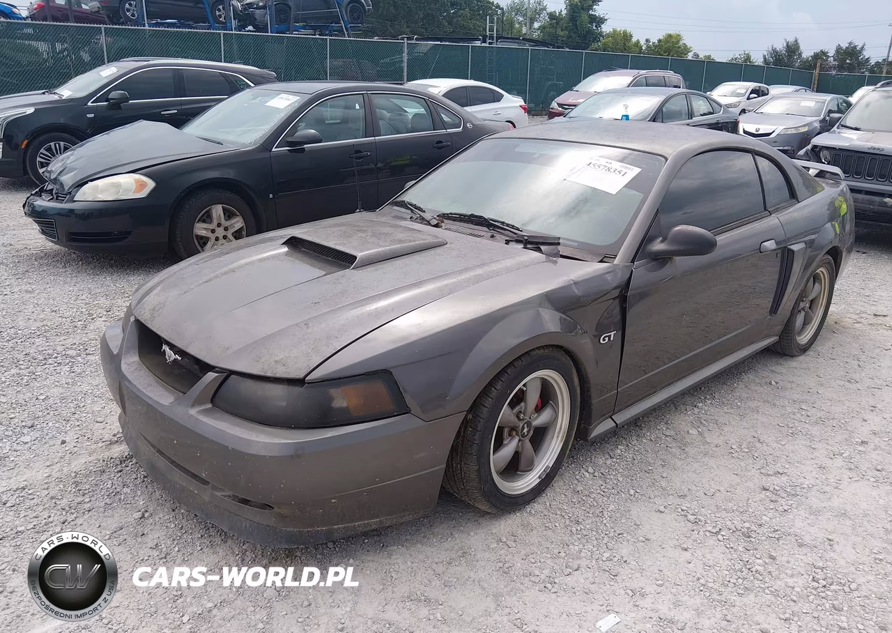 2003 Ford Mustang Gt VIN:1FAFP42X53F341585 - 2