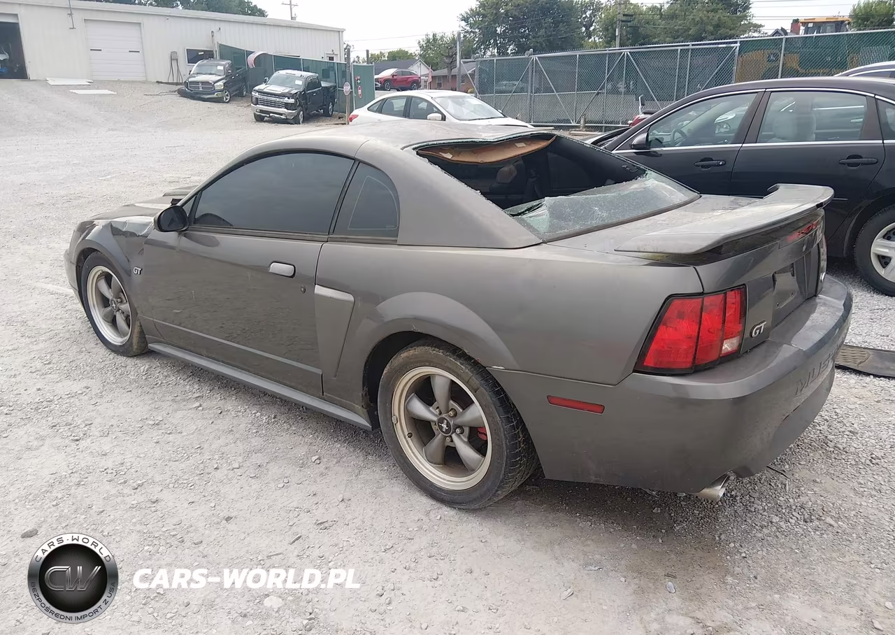 2003 Ford Mustang Gt VIN:1FAFP42X53F341585 - 3