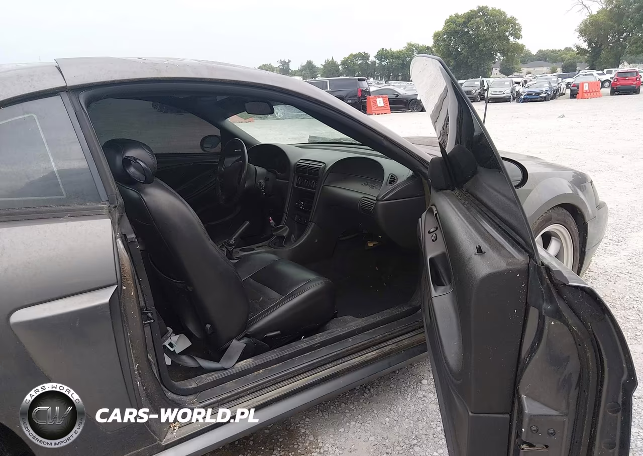 2003 Ford Mustang Gt VIN:1FAFP42X53F341585 - 5