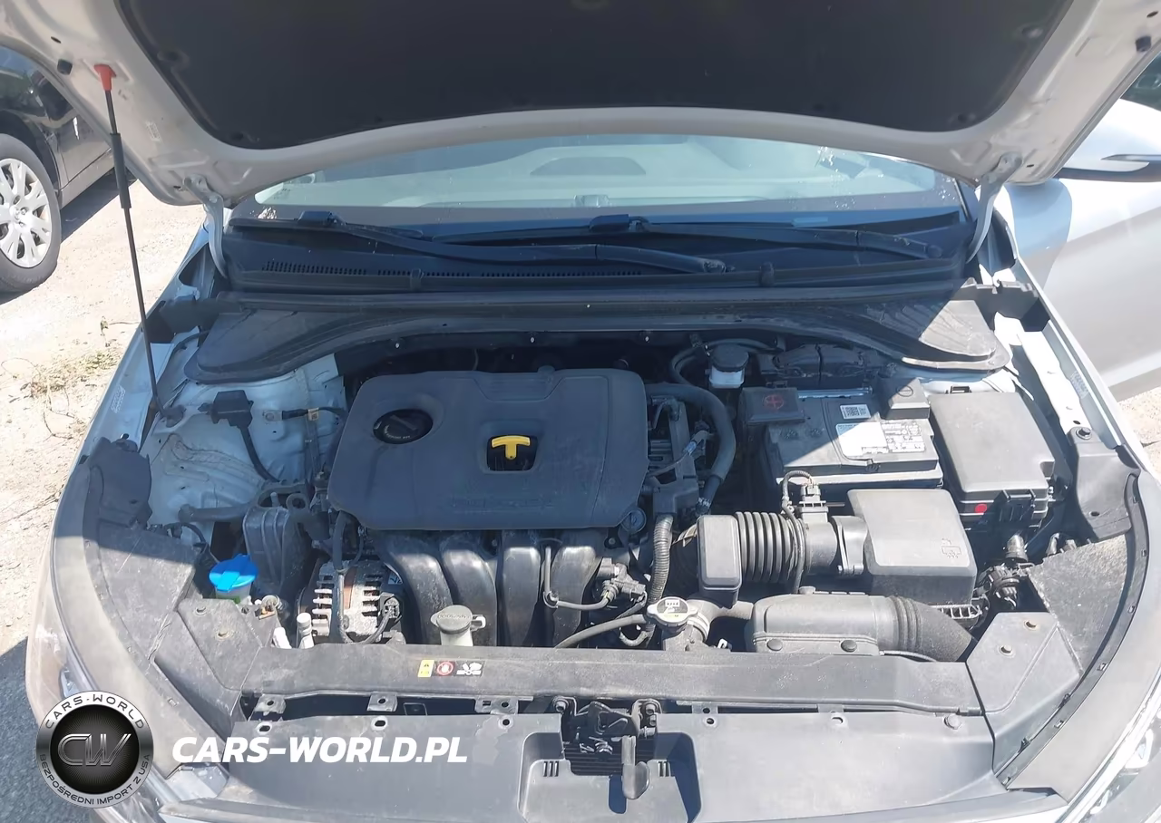 2020 Hyundai Elantra Limited VIN:KMHD84LF2LU962245 - 10