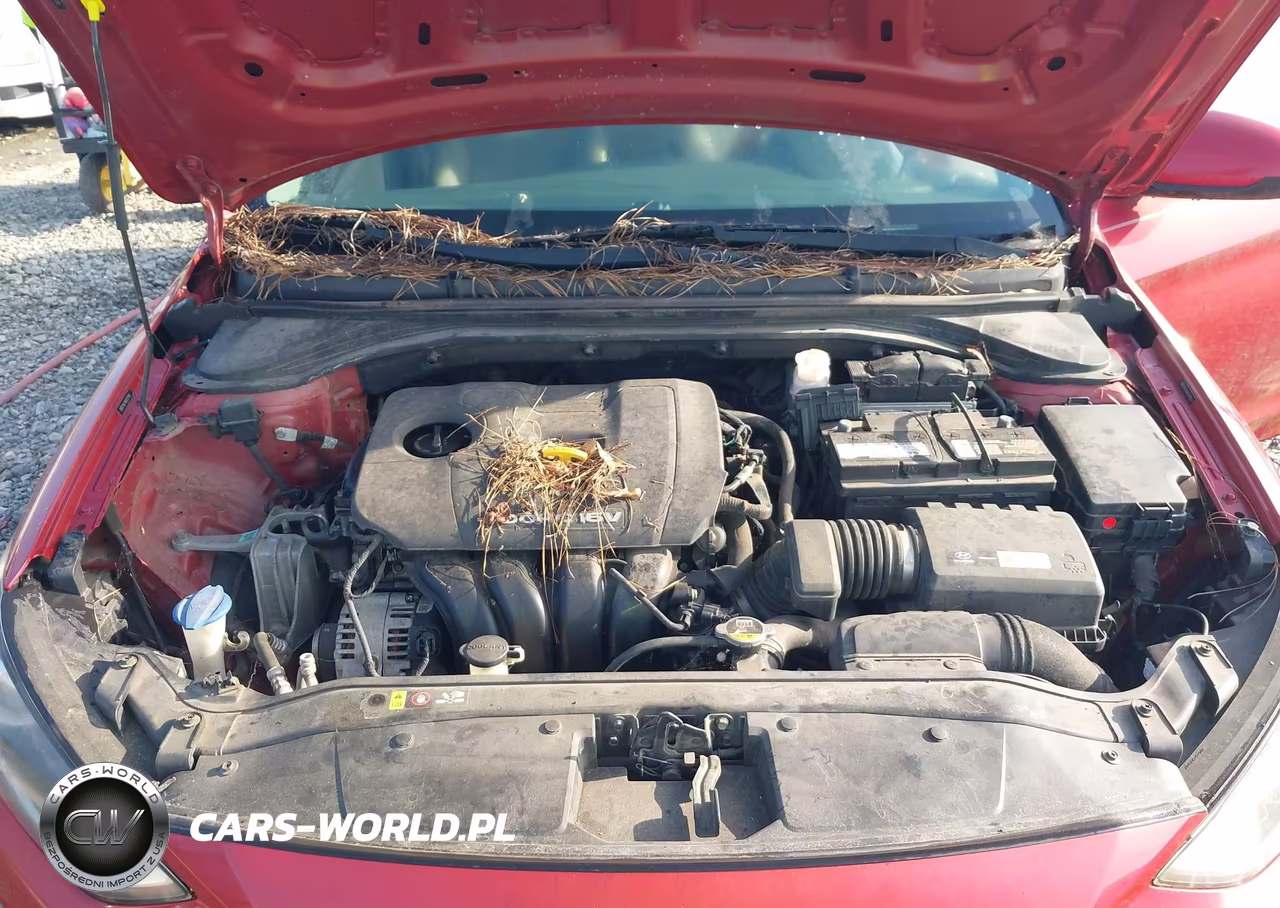 2017 Hyundai Elantra Se VIN:5NPD74LF4HH121195 - 10