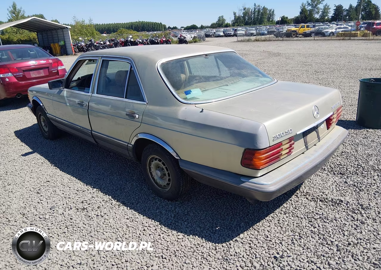 1982 Mercedes-Benz 300 Sd VIN:WDBCB20A4CB016351 - 3