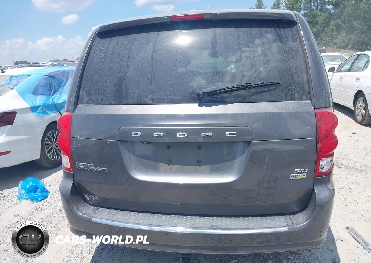 2019 Dodge Grand Caravan Sxt VIN:2C4RDGCG1KR513411 - 16