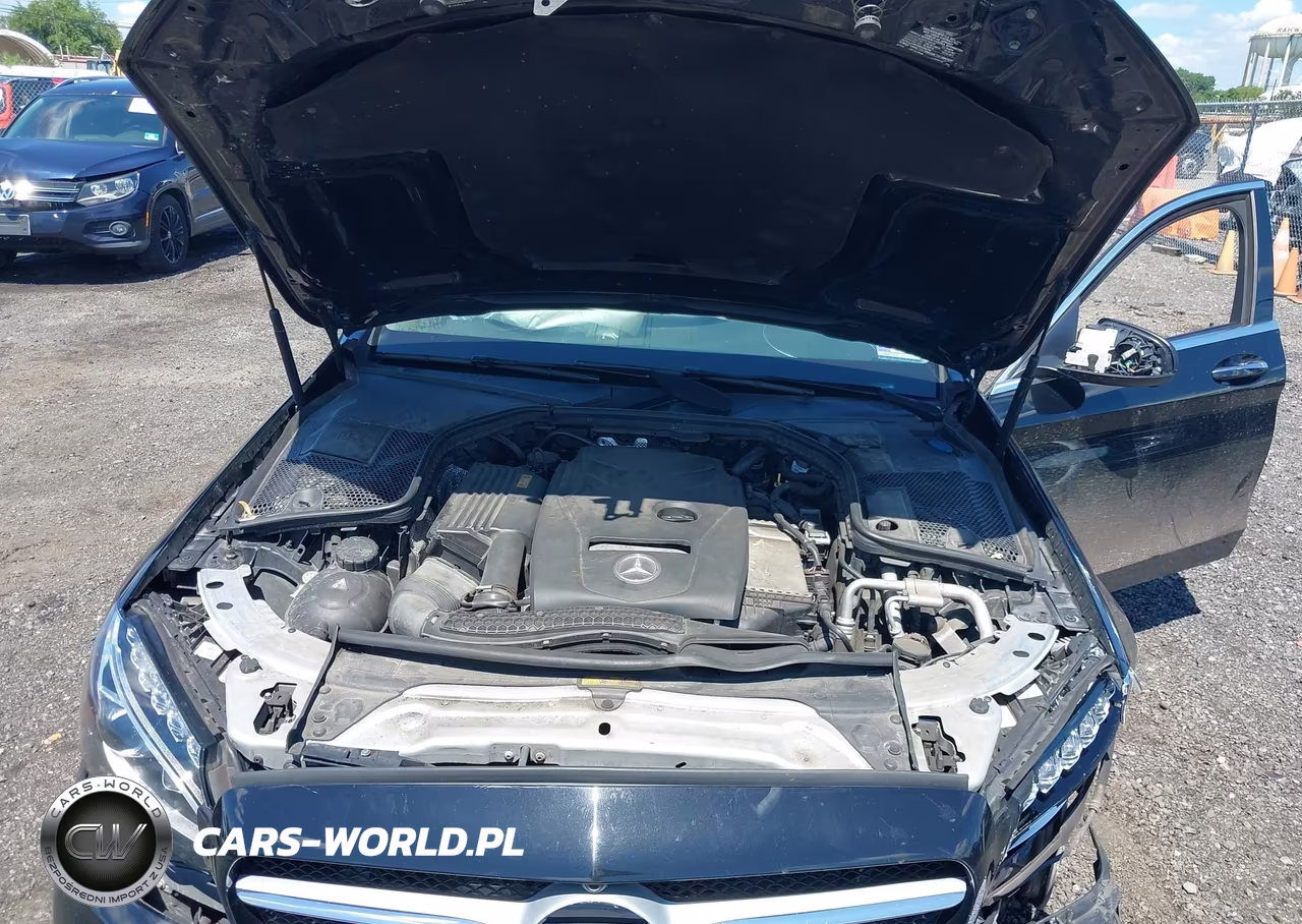2017 Mercedes-Benz C 300 4Matic VIN:55SWF4KB2HU199529 - 10