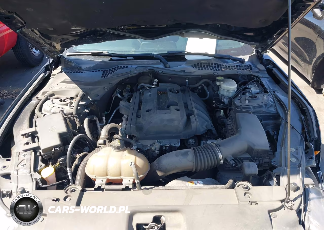 2016 Ford Mustang Ecoboost VIN:1FA6P8TH2G5230471 - 10