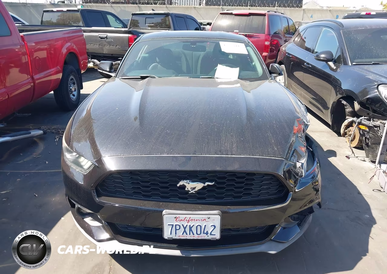 2016 Ford Mustang Ecoboost VIN:1FA6P8TH2G5230471 - 13