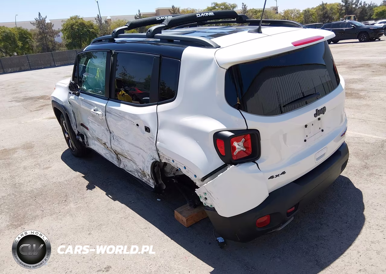 2021 Jeep Renegade Trailhawk 4X4 VIN:ZACNJDC17MPN28694 - 3