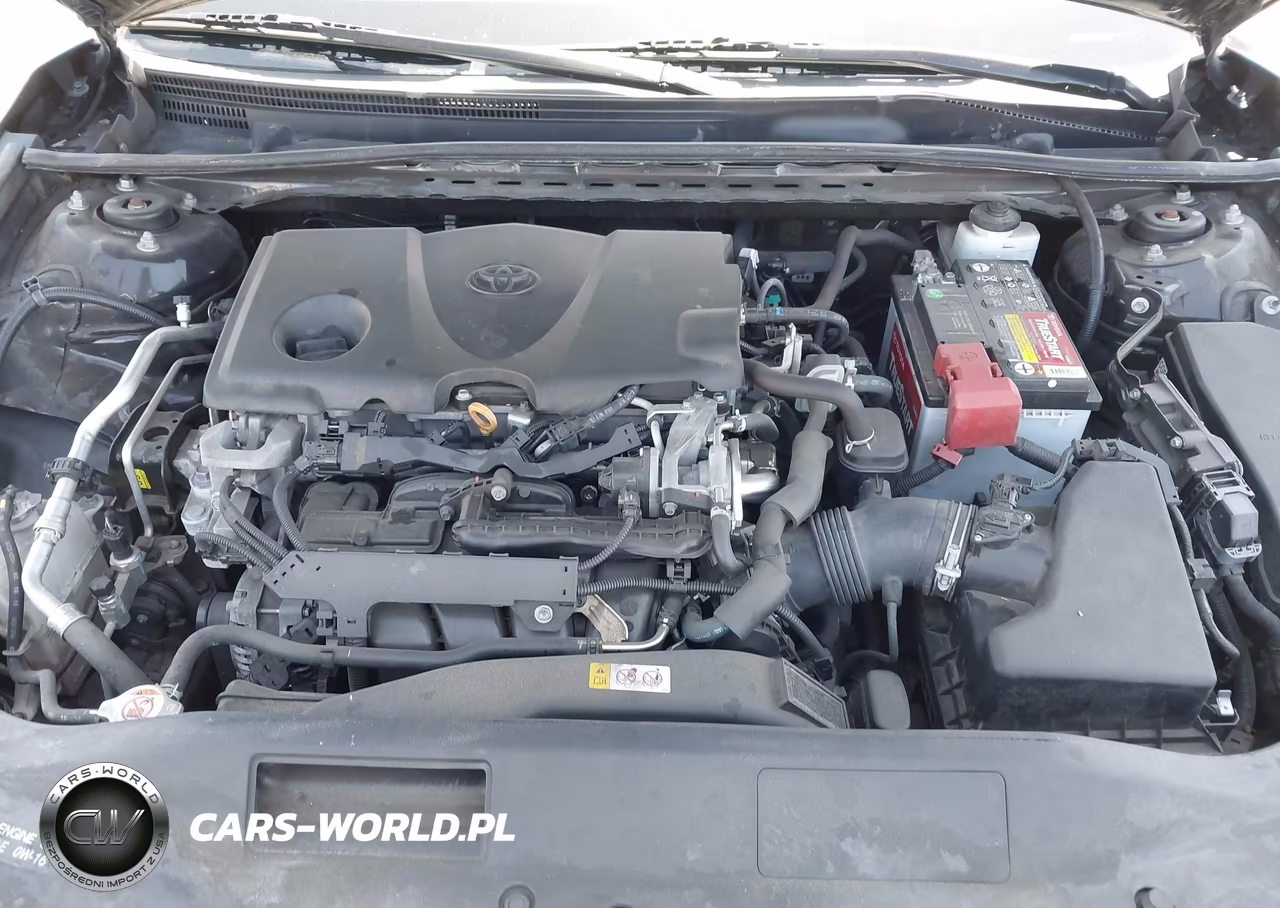 2019 Toyota Camry Le VIN:4T1B11HK2KU789793 - 10