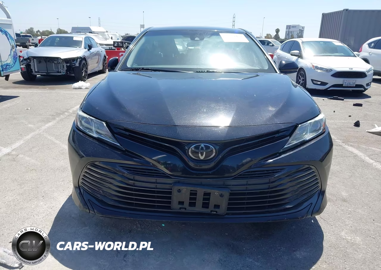 2019 Toyota Camry Le VIN:4T1B11HK2KU789793 - 12