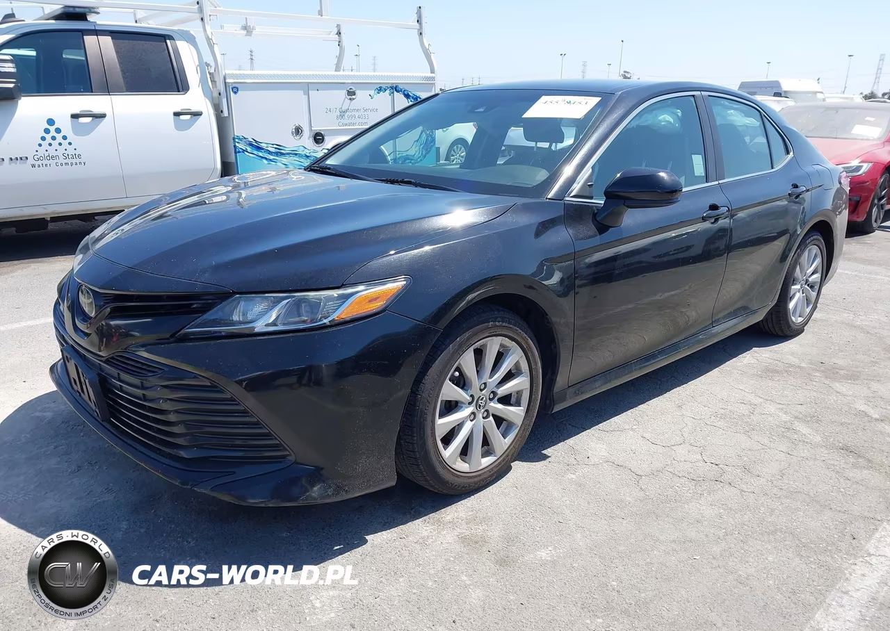 2019 Toyota Camry Le VIN:4T1B11HK2KU789793 - 2